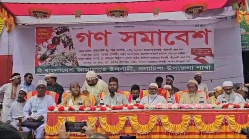 গলাচিপায় জামায়াতে ইসলামীর গণসমাবেশ