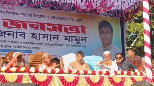 গলাচিপায় জাতীয় বিপ্লব ও সংহতি দিবসে বিশাল জনসভা