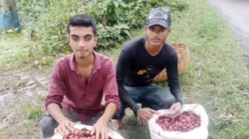 পানি ফল চাষে শুভদিন কৃষকের মুখে হাসি।