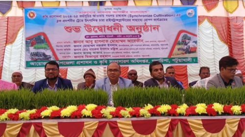 গলাচিপা সমলয় পদ্ধতিতে ধান চাষ কার্যক্রম উদ্বোধন