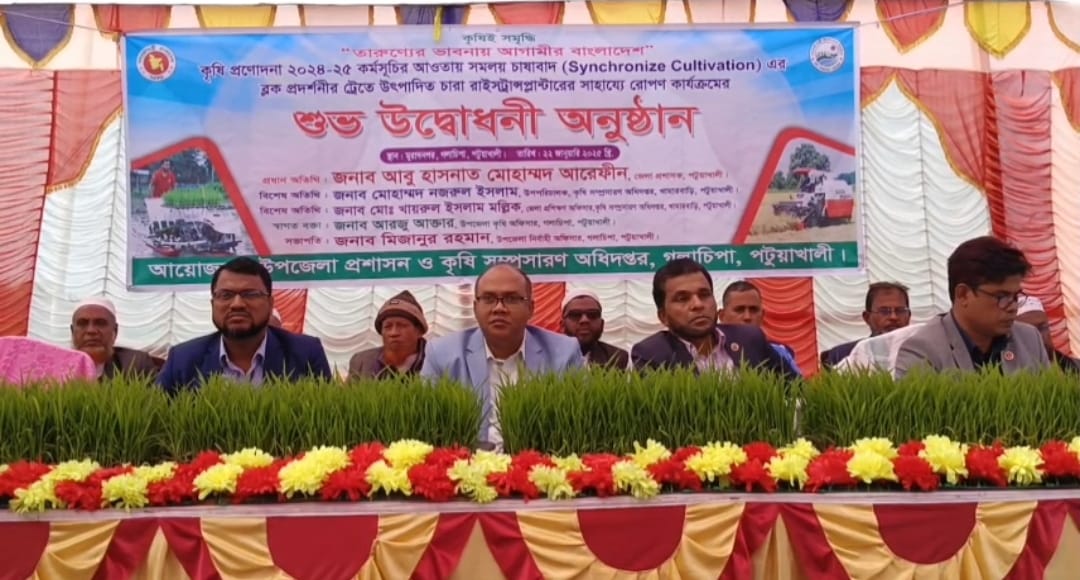 গলাচিপা সমলয় পদ্ধতিতে ধান চাষ কার্যক্রম উদ্বোধন