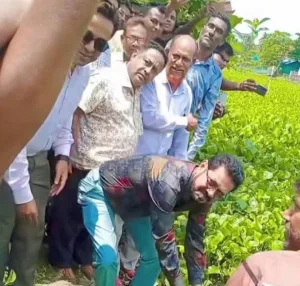 দাকোপের চালনা ক্যানেলের কচুরিপানা পরিস্কার কার্যক্রমের উদ্বোধন করেন এমপি আমীর এজাজ খান