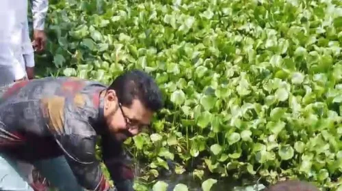 দাকোপের চালনা ক্যানেলের কচুরিপানা পরিস্কার কার্যক্রমের উদ্বোধন করেন এমপি আমীর এজাজ খান