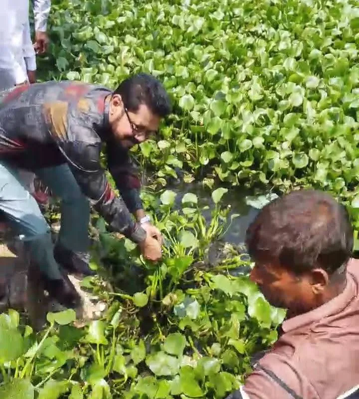 দাকোপের চালনা ক্যানেলের কচুরিপানা পরিস্কার কার্যক্রমের উদ্বোধন করেন এমপি আমীর এজাজ খান