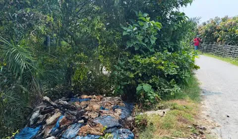 সাপাহারে রাস্তার পাশে পড়ে আছে পশুর চামড়া, জনদুর্ভোগ