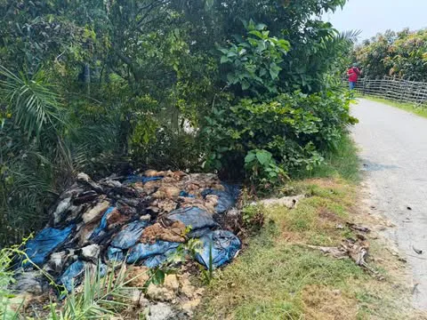 সাপাহারে রাস্তার পাশে পড়ে আছে পশুর চামড়া, জনদুর্ভোগ