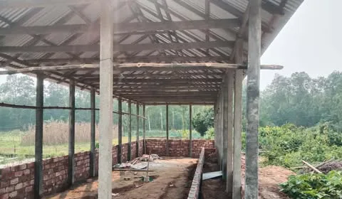 ঝিনাইগাতীতে সরকারি বনভূমি বেদখল: রেঞ্জ কর্মকর্তার বিরুদ্ধে নিষ্ক্রিয়তার অভিযোগ