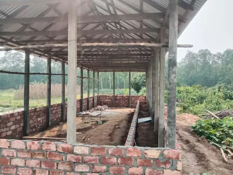 ঝিনাইগাতীতে সরকারি বনভূমি বেদখল: রেঞ্জ কর্মকর্তার বিরুদ্ধে নিষ্ক্রিয়তার অভিযোগ