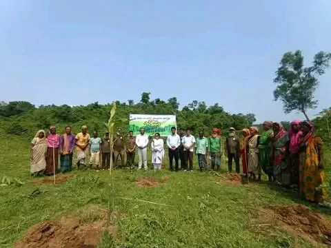 শ্রীবরদীতে ২৫ কোটি বৃক্ষরোপণ কর্মসূচির উদ্বোধন