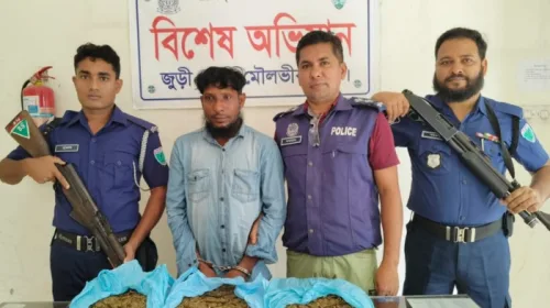 মৌলভীবাজার জেলার জুড়ীতে গাঁজাসহ একজনকে গ্রেফতার করেছে জুড়ী থানা পুলিশ।