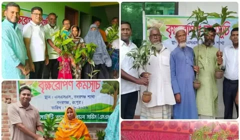 ​পরিবেশ সুরক্ষায় রংপুরে এসএসএস-এর বৃক্ষরোপণ কর্মসূচি: ৫ হাজার চারা বিতরণ