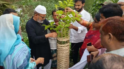 সাপাহারে বৃক্ষরোপণ কর্মসূচির অংশ হিসেবে চারা রোপণ
