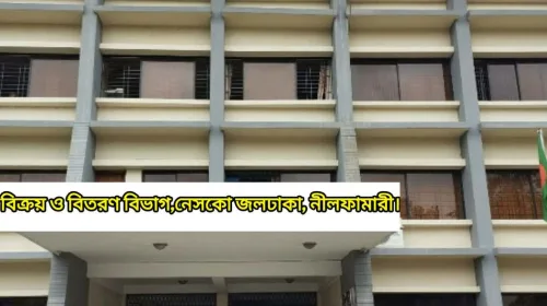 জলঢাকায় রাত হলে নেসকো ও পল্লি বিদ্যুৎ এর লুকোচুরি অতিষ্ঠ জনজীবন