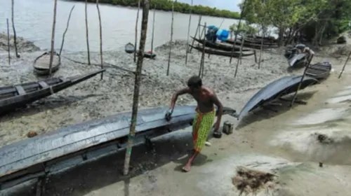 খুলছে সুন্দরবনের দুয়ার, দস্যু আতঙ্কের মাঝেই প্রস্তুতি বনজীবীদের