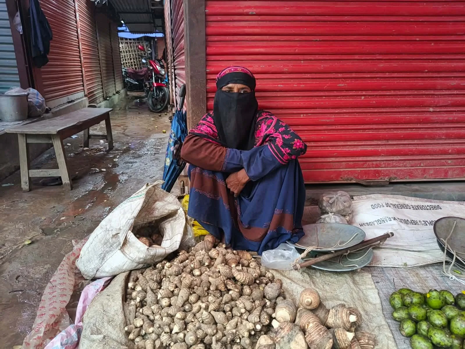 উঠানের সবজি বিক্রিই ভরসা লাইলী বেগমের