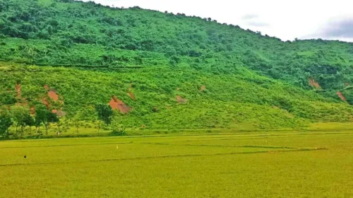 তাহিরপুর সীমান্তে অনুপ্রবেশ করে কয়লা আনতে ভারতে গিয়ে বাংলাদেশী যুবকের মৃত্যু