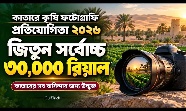 dsf news