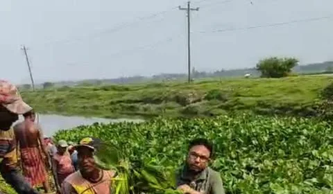 শেওলা পরিষ্কার করলেন চেয়ারম্যান পদপ্রার্থী রফিকুল ইসলাম