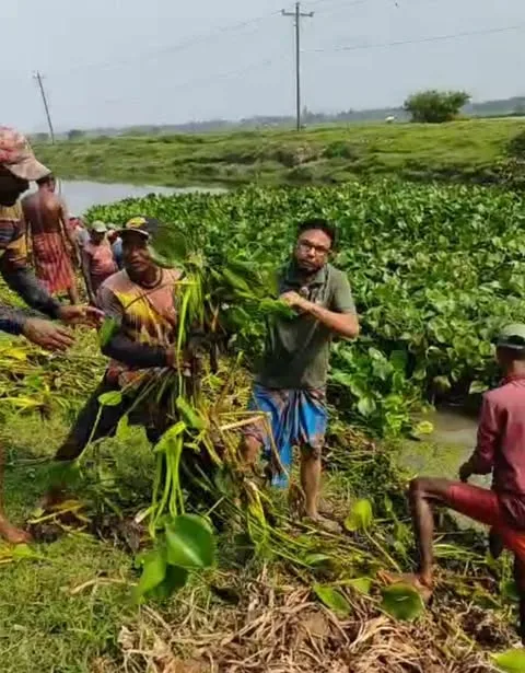 শেওলা পরিষ্কার করলেন চেয়ারম্যান পদপ্রার্থী রফিকুল ইসলাম