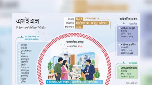 dsfnews.com