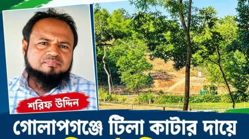 গোলাপগঞ্জে টিলা কাটার
