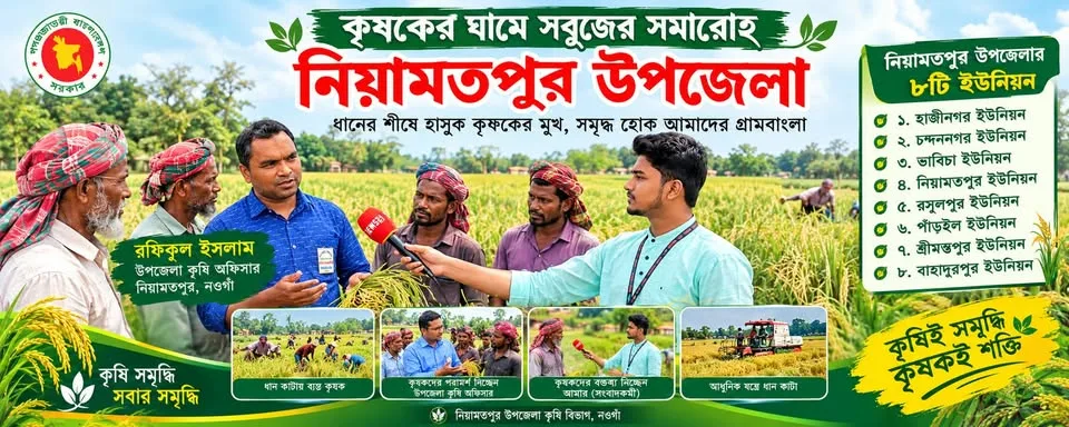 কৃষকের ঘামে সবুজ নিয়ামতপুর উপজেলা
