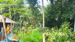 দাকোপে বসতবাড়ি দখলের চেষ্টায়