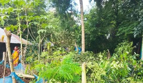 দাকোপে বসতবাড়ি দখলের চেষ্টায়