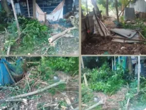 দাকোপে বসতবাড়ি দখলের চেষ্টায়