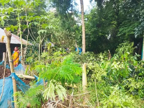 দাকোপে বসতবাড়ি দখলের চেষ্টায়